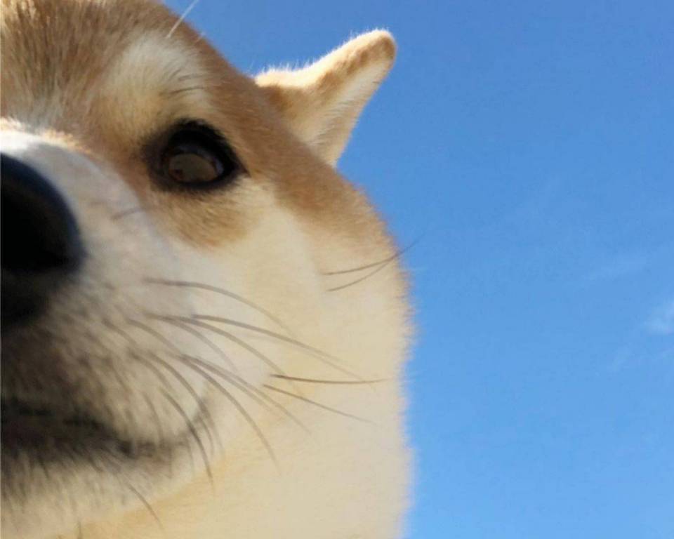 bde0c91b1f9446b8838da634e753c671.jpeg