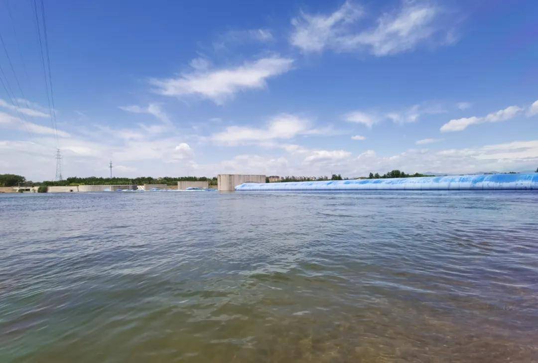 灵动可爱随着补水工作顺利完成越来越多的水鸟到潮白河顺义段嬉戏赞