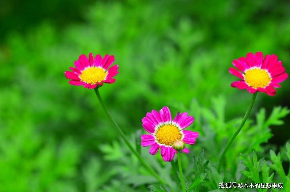 从6月份开始 放下矜持 再次和旧爱牵手 感情