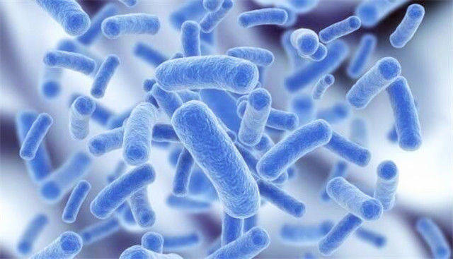 什么叫免疫抑制剂 0f14569da86d44a3b56505f24f49f329.jpeg