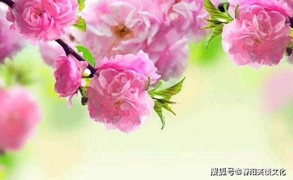 472b71437e9741078e64402cb2af7c5a.jpeg