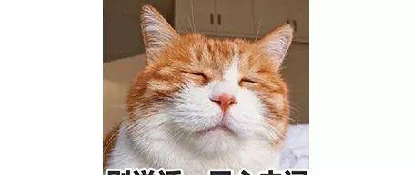 猫放屁是什么样 c2b5a44966084c08bc8b566c675835e9.jpeg