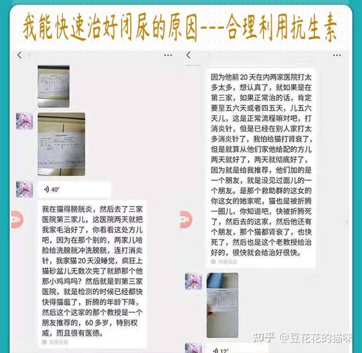 猫膀胱炎治疗 五 快速治好猫尿频闭尿的法宝 尿道