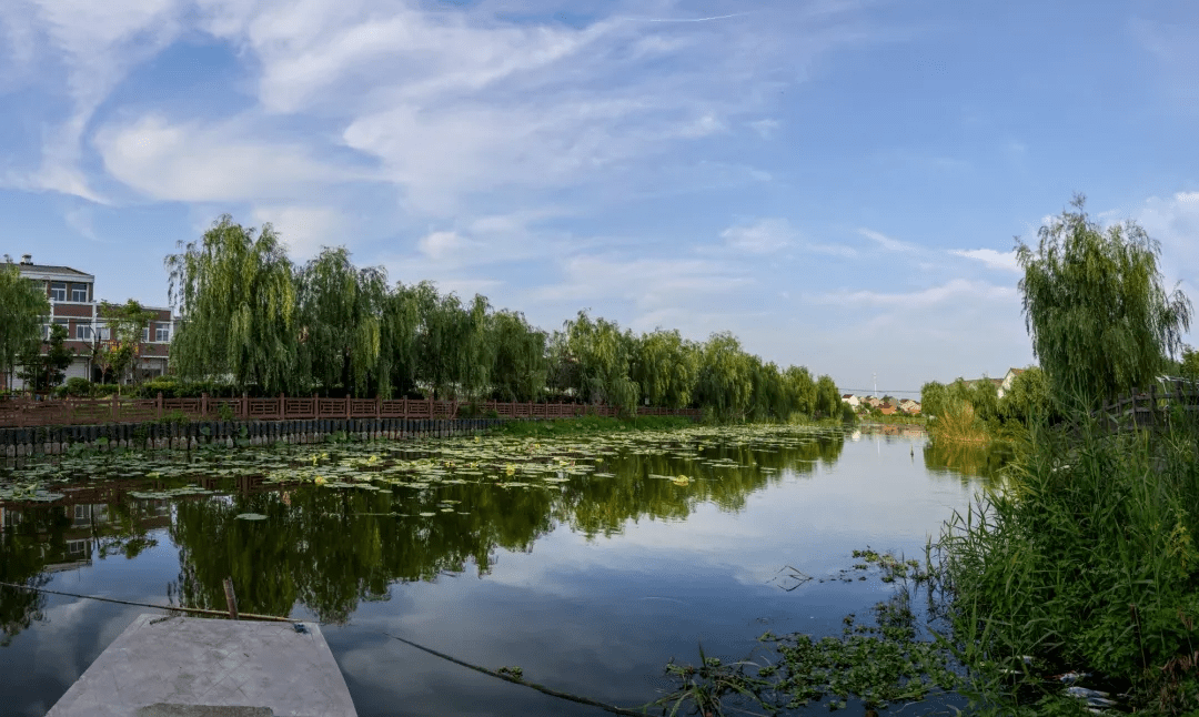 當塗的夏天,吃不到大隴龍蝦,是不完整的