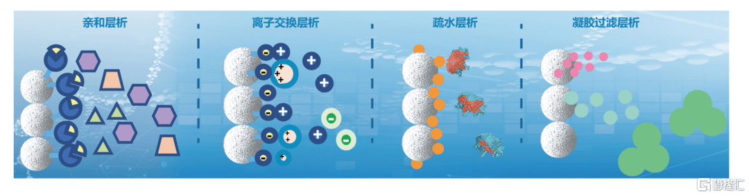 材料|科创板即将迎来纳米微球第一股，高精尖的公司了解一下