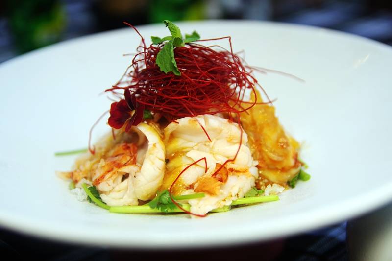 大开眼界,超级物种加拿大龙虾节,二十道龙虾做法一次吃到扶墙