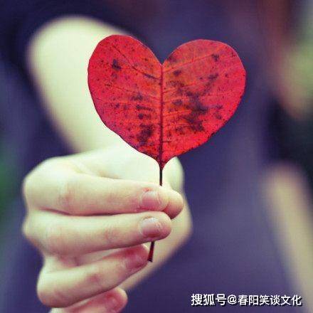 到底怎么样才能不恨一个人 793fcee41c8f4d1ba6bd4838c1ee8ea8.jpeg