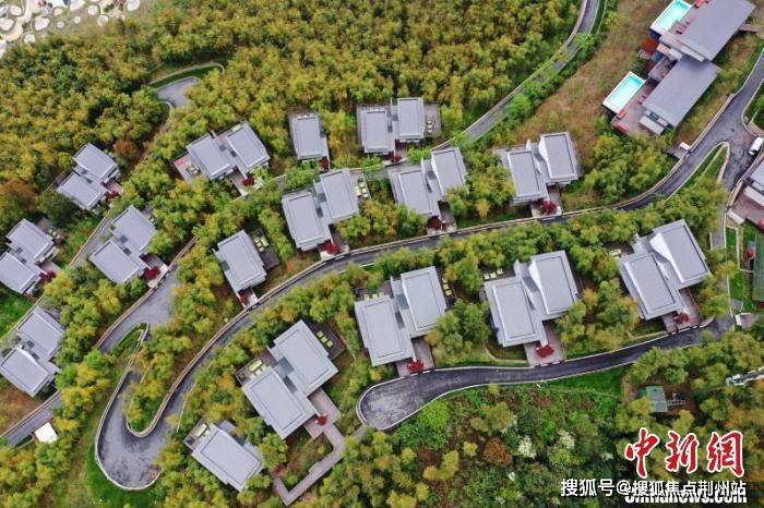 浙L人均_中国人均寿命变化图(2)