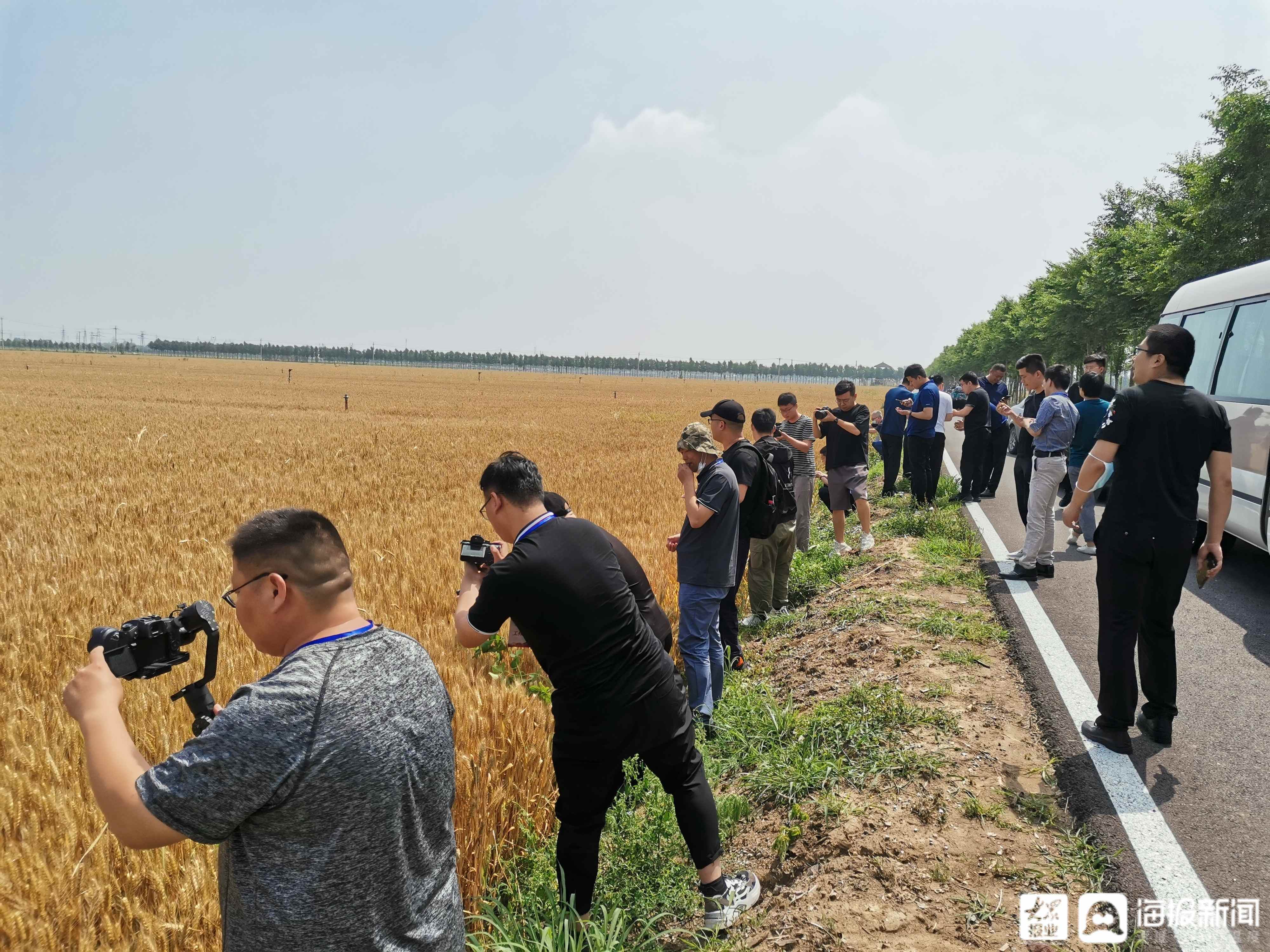 昌邑市龙池镇,以丰富的红色资源为优势,打造乡村振兴"龙池模式.