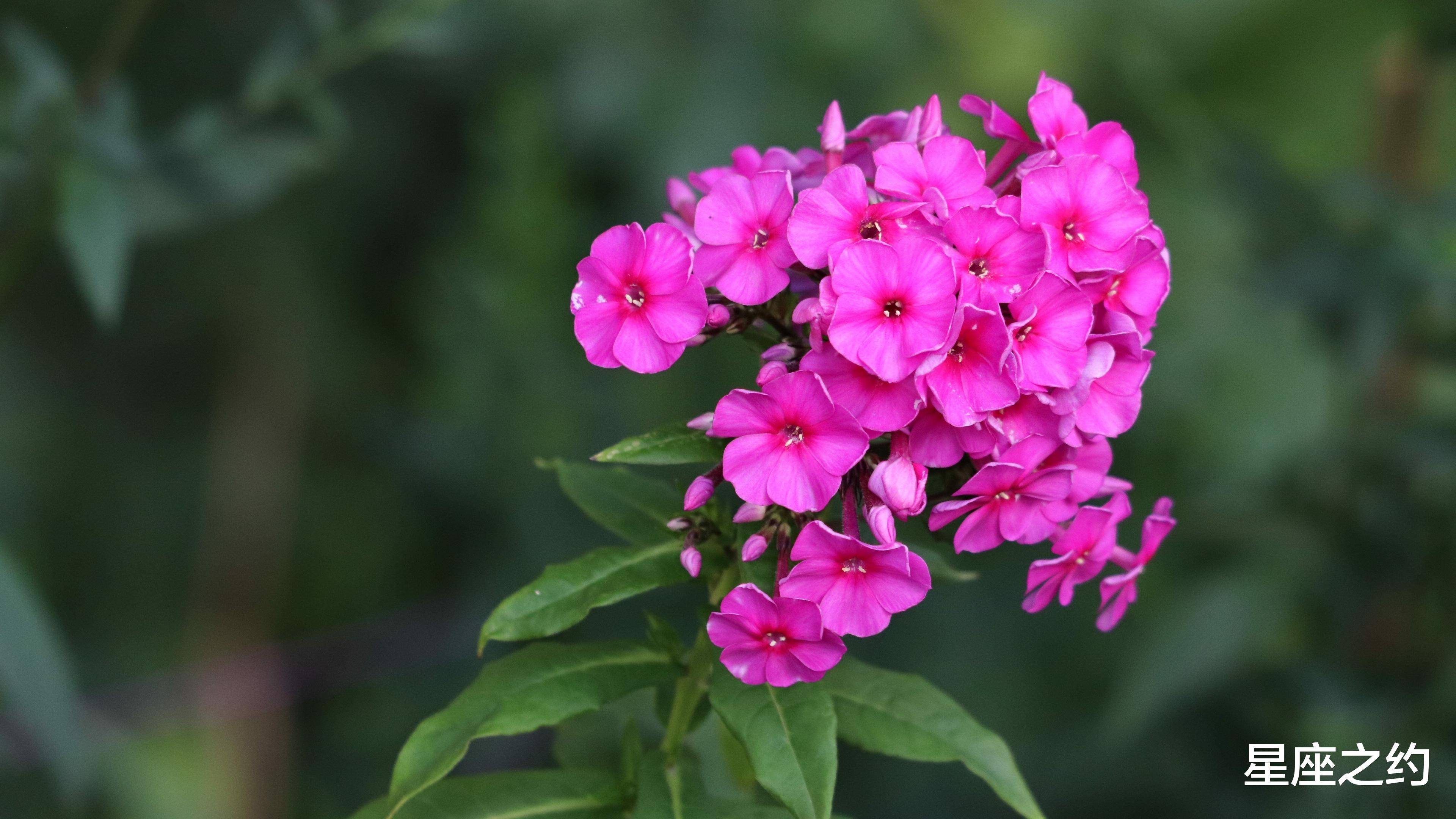 6月3日星座运势 双子执行力强 天秤另眼相看 双鱼实力大增 工作 6月3日星座运势 双子执行力强 天秤另眼相看 双鱼实力大增 工作