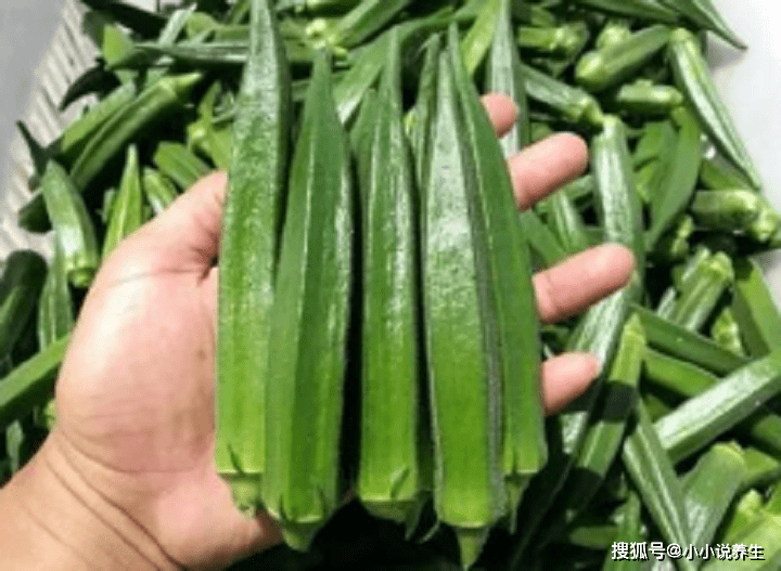 哪些蔬菜可以帮助消化 ad3efd01fcae483bb3fc5d1f5a8f68a6.png