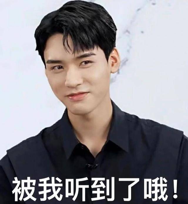 你好芜湖才子龚俊你才是最快乐的打工人