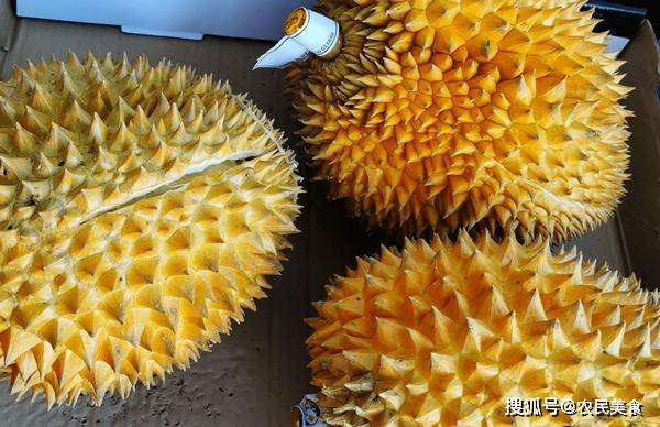 怎样选榴莲的小技巧 c7eb3f031d024abfb7e8ec9c07a53cff.jpeg