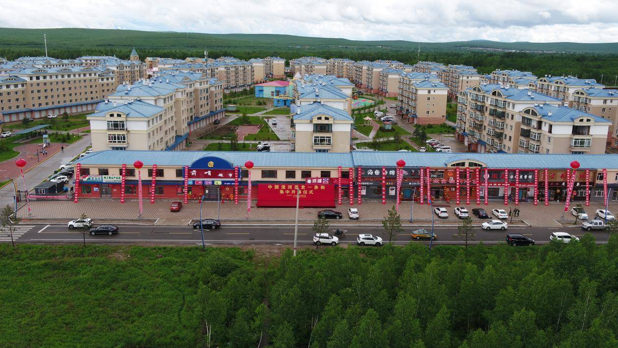 漠河林业局:"聚焦"生态与产业融合 促进最北林区高效发展