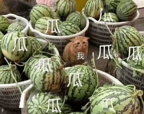 芈十四咋想的?自己走后门失败,还舔着脸泼别人脏水_手机搜狐网