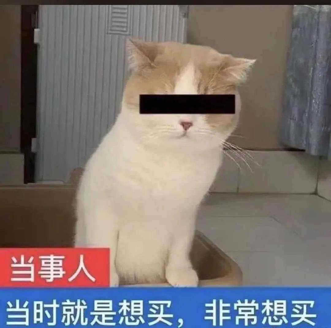 04e5198b5ab74c14bfc99795ab67f4ca.jpeg