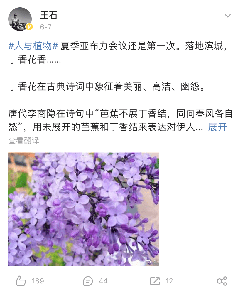 哈尔滨之夏简谱_太阳岛上 电视片 哈尔滨的夏天 选曲(2)