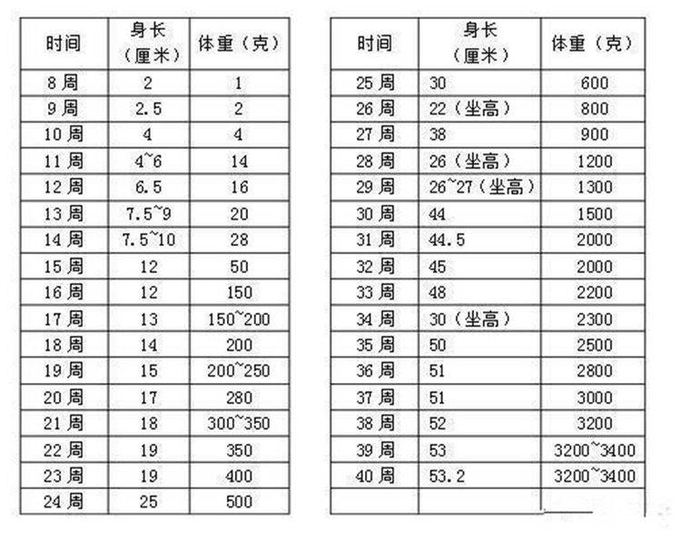 你觉得怀孕34周早产的宝宝体重只有2斤多 正常吗 胎儿