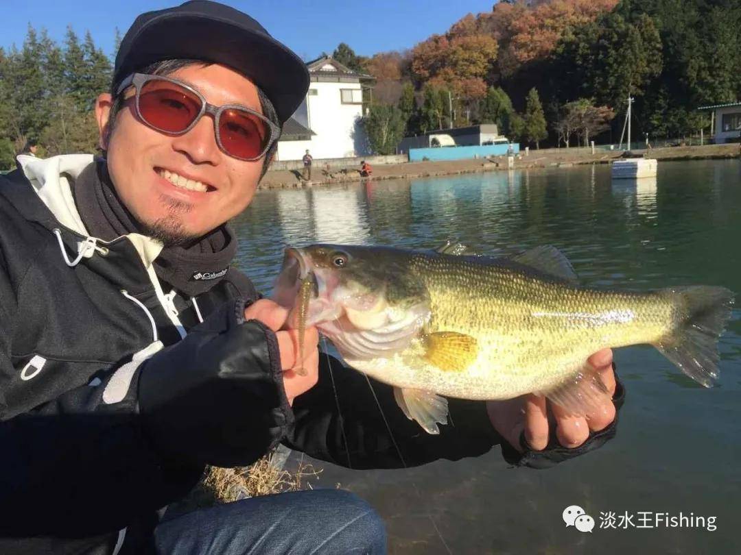 垂釣·冬季黑坑經驗分享丨冬季黑坑釣鱸魚【日本釣行】