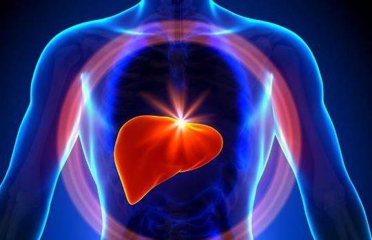 熬夜喝酒都没它"伤肝",却家家户户都有_肝脏