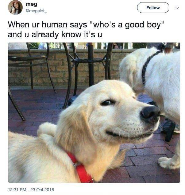 001181fc7f2a4505a1ddfcb3b9a2aea7.jpeg