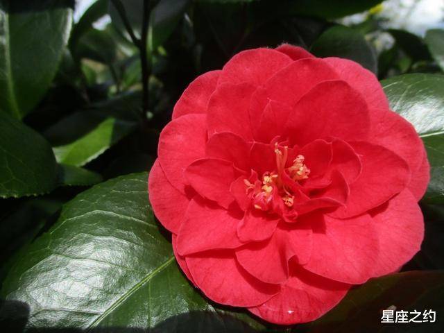 9月1日 30日星座运势 白羊座迎接挑战 水瓶座信心十足 感情