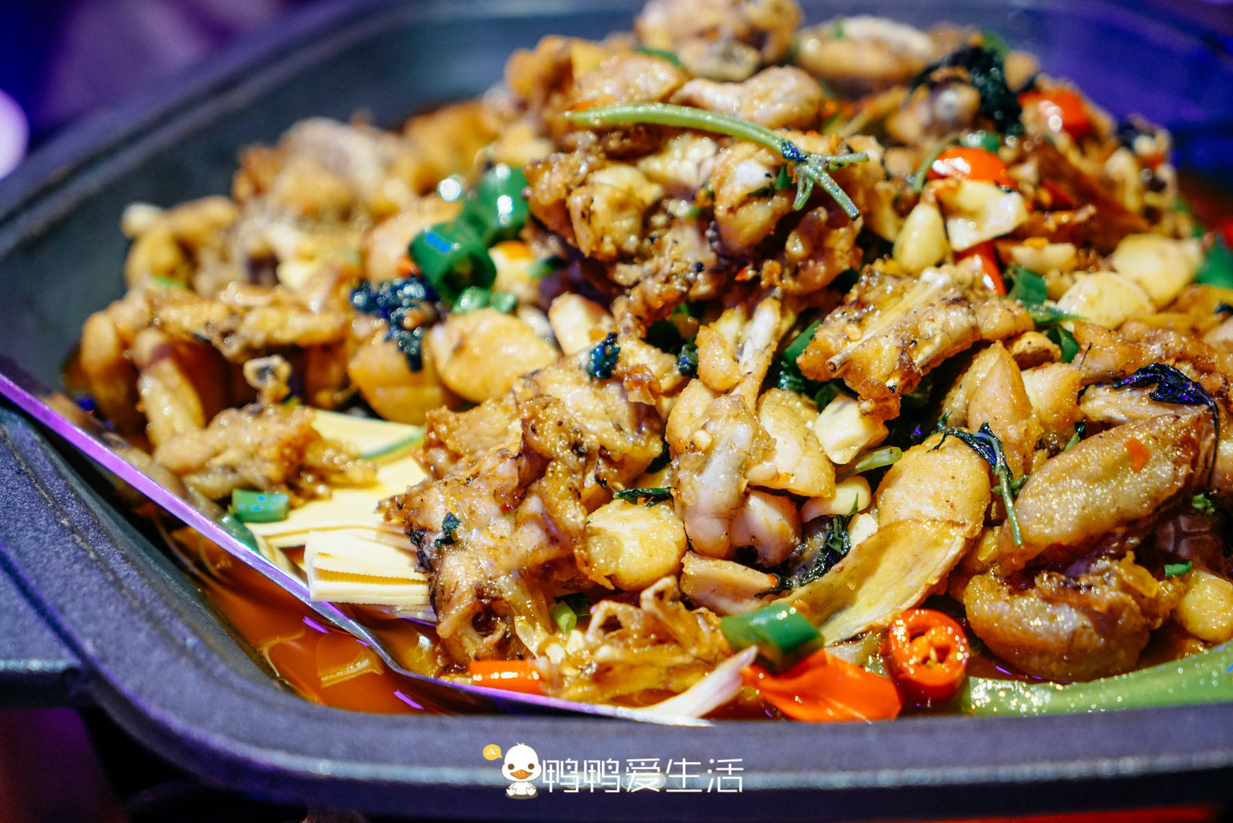 原创上过天天向上网红蛙来哒12种口味吃不腻汪涵称赞又嫩又滑