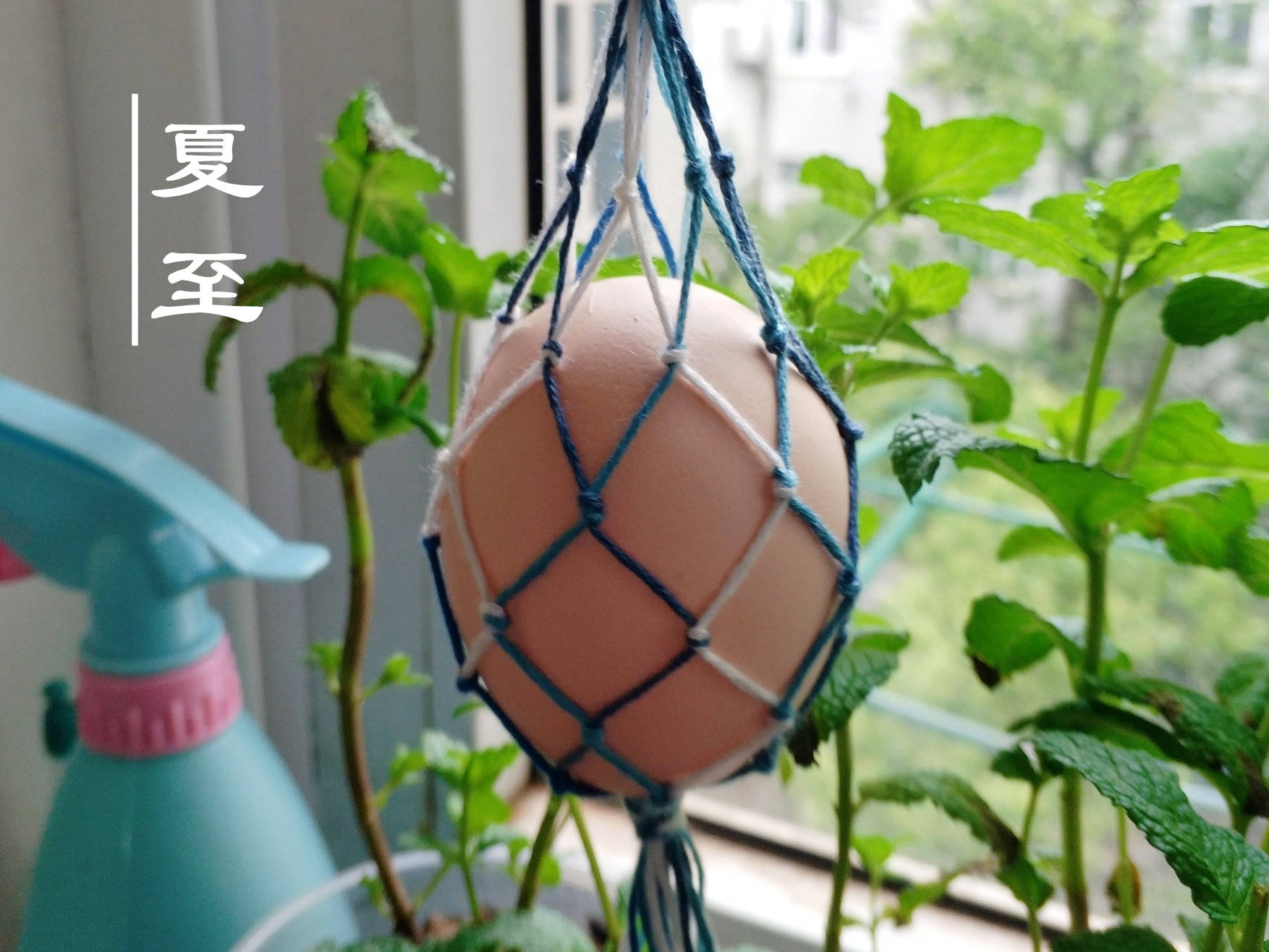 夏至到了,记得吃"夏至面,夏至糕,夏至蛋",老传统不能丢