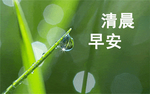 原创2021年6月22日星期二早上好问候祝福动态表情图片最新早安问候语