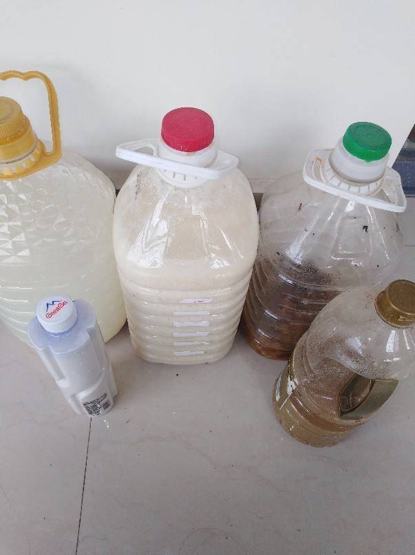 原创5种自制肥料,在家就能做,肥效足不烧根