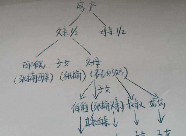 丧偶遗产分配比例图图片