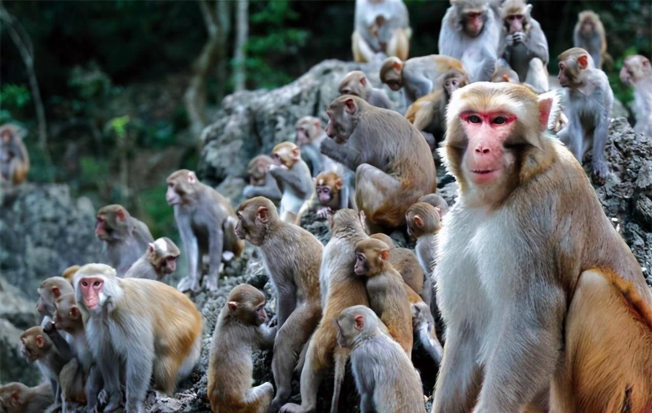 都江堰有什么好玩的旅游景点|湖北某旅游景点走红。 拥有8处特色景观，风景秀丽。 门票80