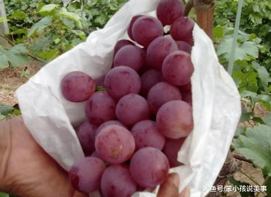 买葡萄时,"这3种"便宜也别买,商贩自己都不吃,买完就后悔!