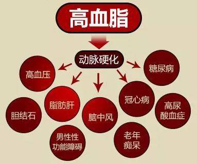 全球高血脂人口_全球人口分布图