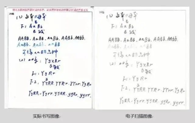 d1d04fdb87b5453a8cd2ad1939ec073b.png