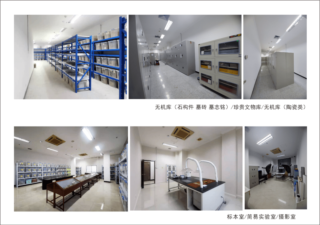 干货| 接手博物馆藏品管理的770天,我做了什么,改变了什么?