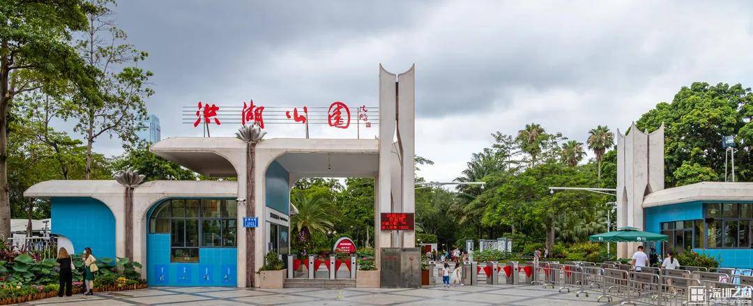 洪湖公园百亩荷花开了,碗莲展,并蒂莲…实在是太美了