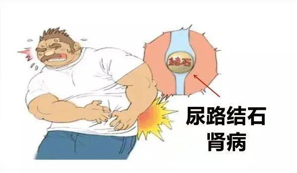 545d26ddd8bc443d8e018e12e9ecd9d7.jpeg