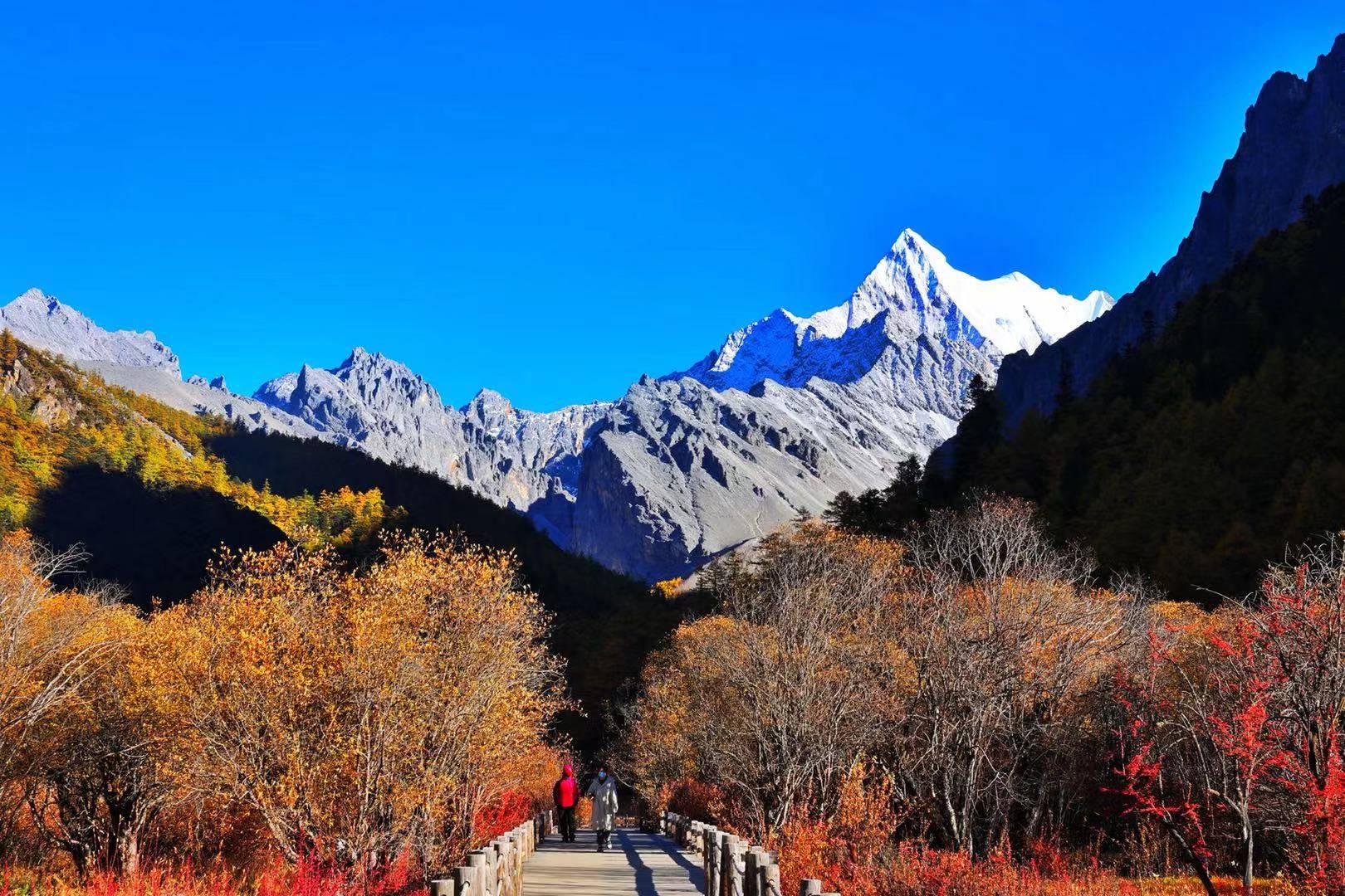 "让世界看见稻城亚丁"走进成都,油画展为期两天免费观展