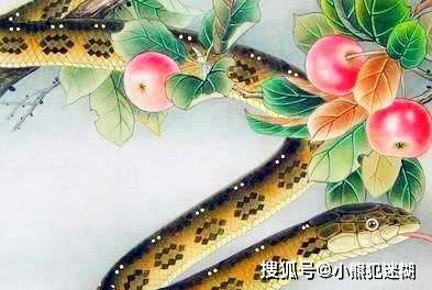属蛇人的性格和优点 c97ab2280b2d487f95c5acb72413f99f.jpeg