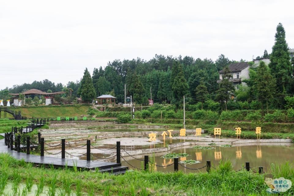 大月湾农场位于浙江温州市文成县百丈漈镇长塘村,是一个经过大力改造