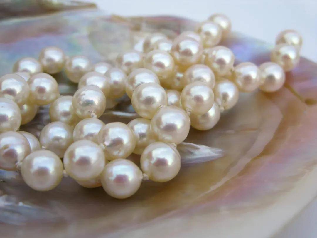 合浦宝藏,人们爱了她千年_珍珠