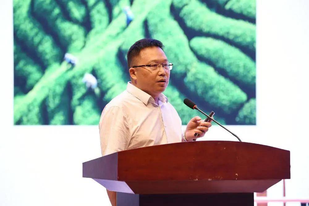 活动上,贵州省博物馆副馆长李甫谈到:"茶文化以青山绿水为本,以乡村