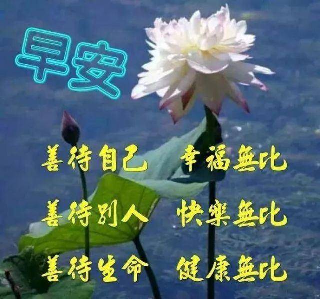 7,无论是对朋友还是最爱的人,不需要花言巧语,实实在在就好;不需要