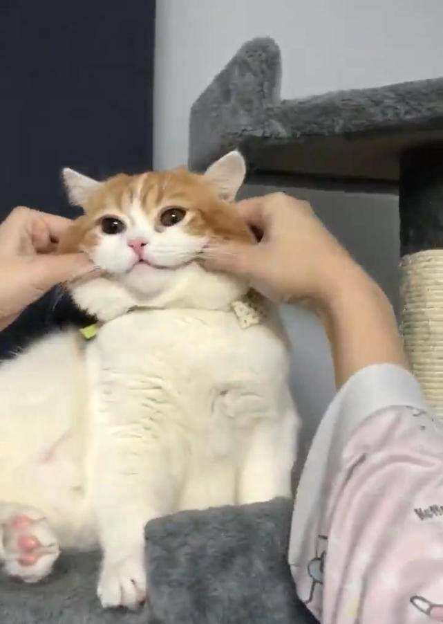 a2582b6288344f898b060df2a8c1cdaf.jpeg