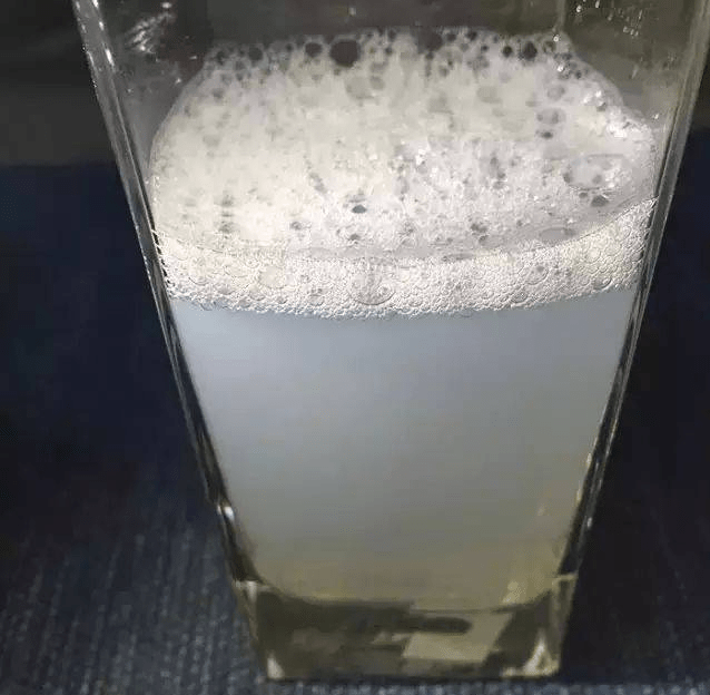 给狗狗喝肥皂水的时候,宠主在一旁用手扶住狗狗,使它们头部微微朝下