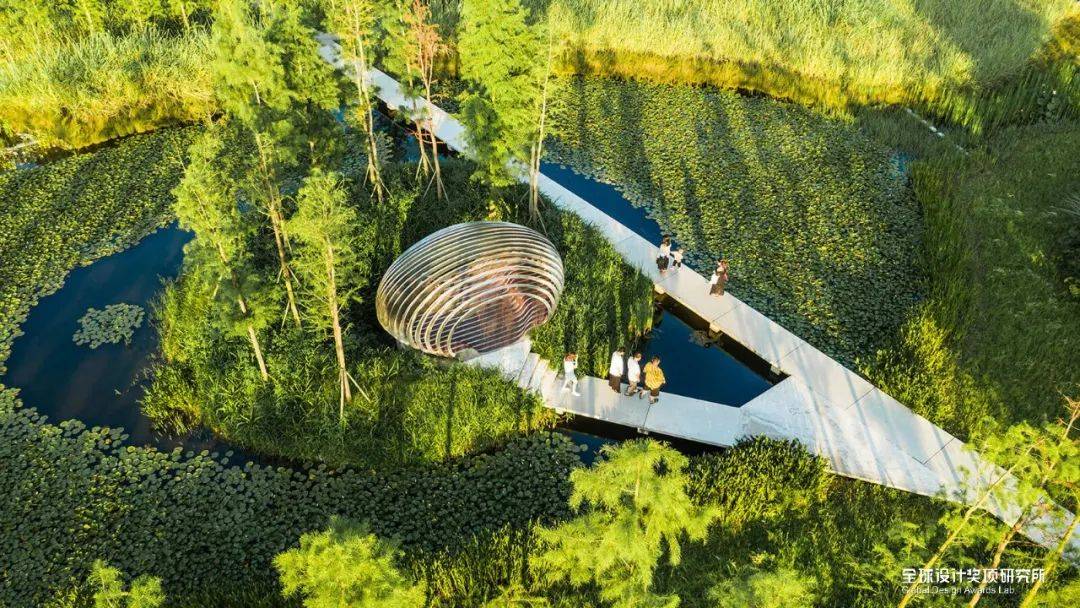 azawards最终大奖结果揭晓lsd朱锫建筑事务所土人设计3