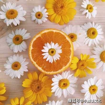 人生哲理感悟_人生遗憾与惊喜_内涵段子很火的语句