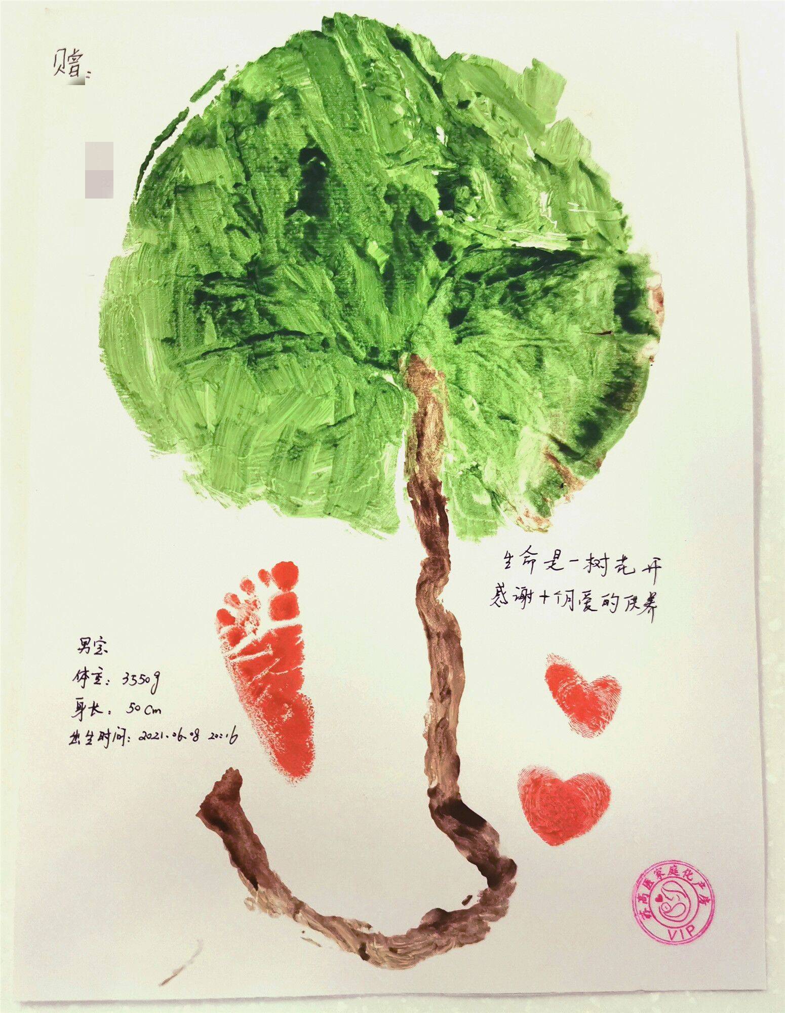 收到了一份特别的礼物——象征生命之树的胎盘拓印画
