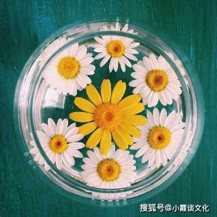 人生哲理感悟_人生遗憾与惊喜_内涵段子很火的语句